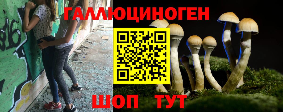 Псилоцибиновые грибы прущие грибы Рыбинск